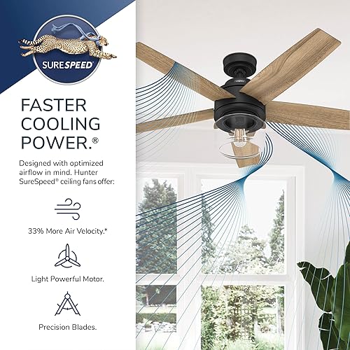 Miniatura 9 de Hunter Fan Company 52335 Margo Ventilador de techo, negro mate