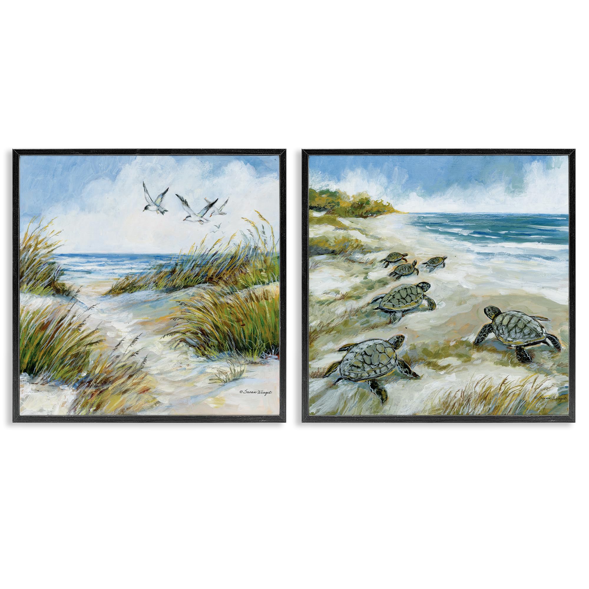 Stupell Industries 'Beach Creatures on Dunes', 2pc Framed Giclee Art Set 2, Black, 24 x 24 Inches, Easy to Hang and Sturdy, Made in USA, by Susan Winget