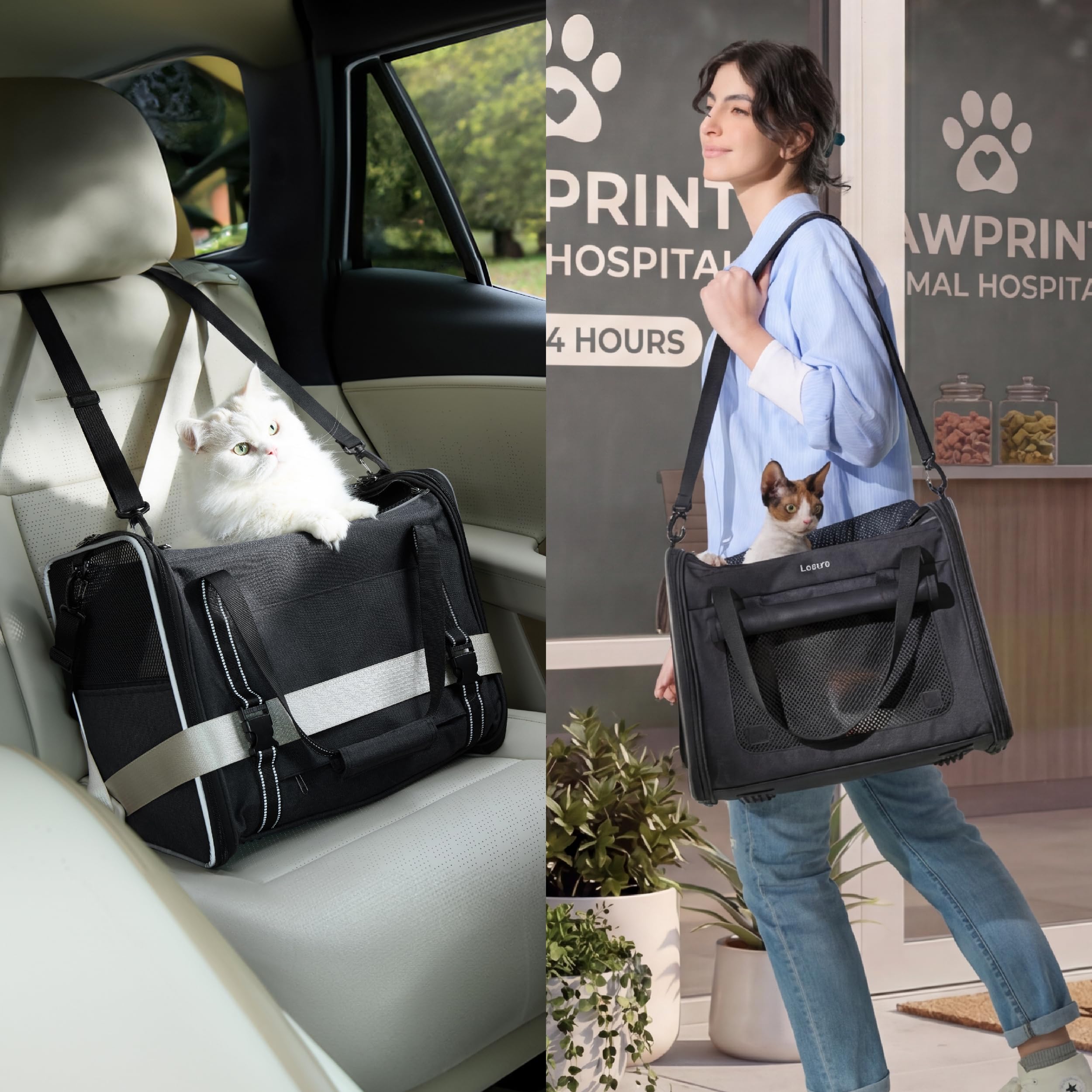Lesure Trasportino pieghevole per gatti, 43,5x29,5x34 cm, Grigio chiaro | Borsa stabile con lati morbidi, rete traspirante, cintura auto, tracolla e tappetino rimovibile per gatti e gattini
