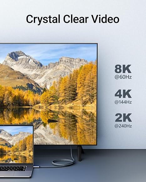 10ft USB C to DisplayPort 1.4 Cable 8K@60Hz Thunderbolt 3/4