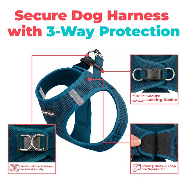 Foto 2 de 8 de Best Pet Supplies - Arnés de Malla para Todas Las Estaciones, Reflectante, para Perros pequeños/medianos…