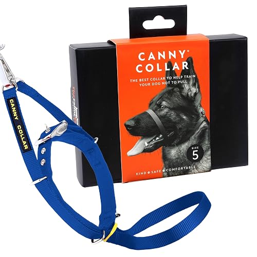 Canny Collar Antitirones para Perros Que Tiran de la Correa, Azul Talla 5