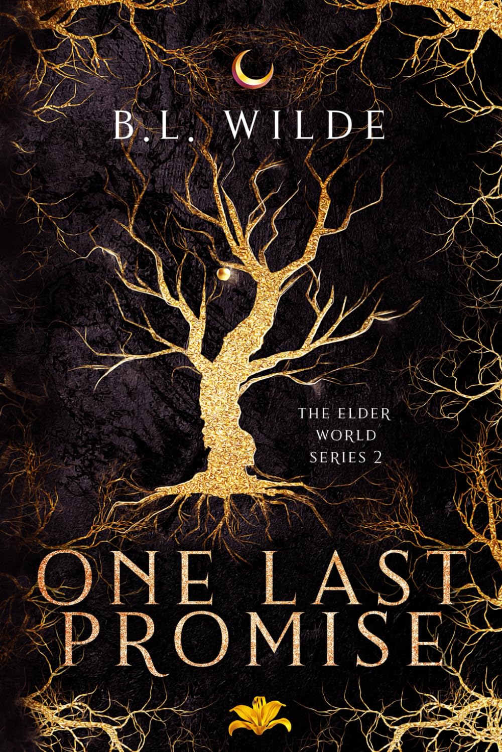 One Last Promise: The Elder World Series
