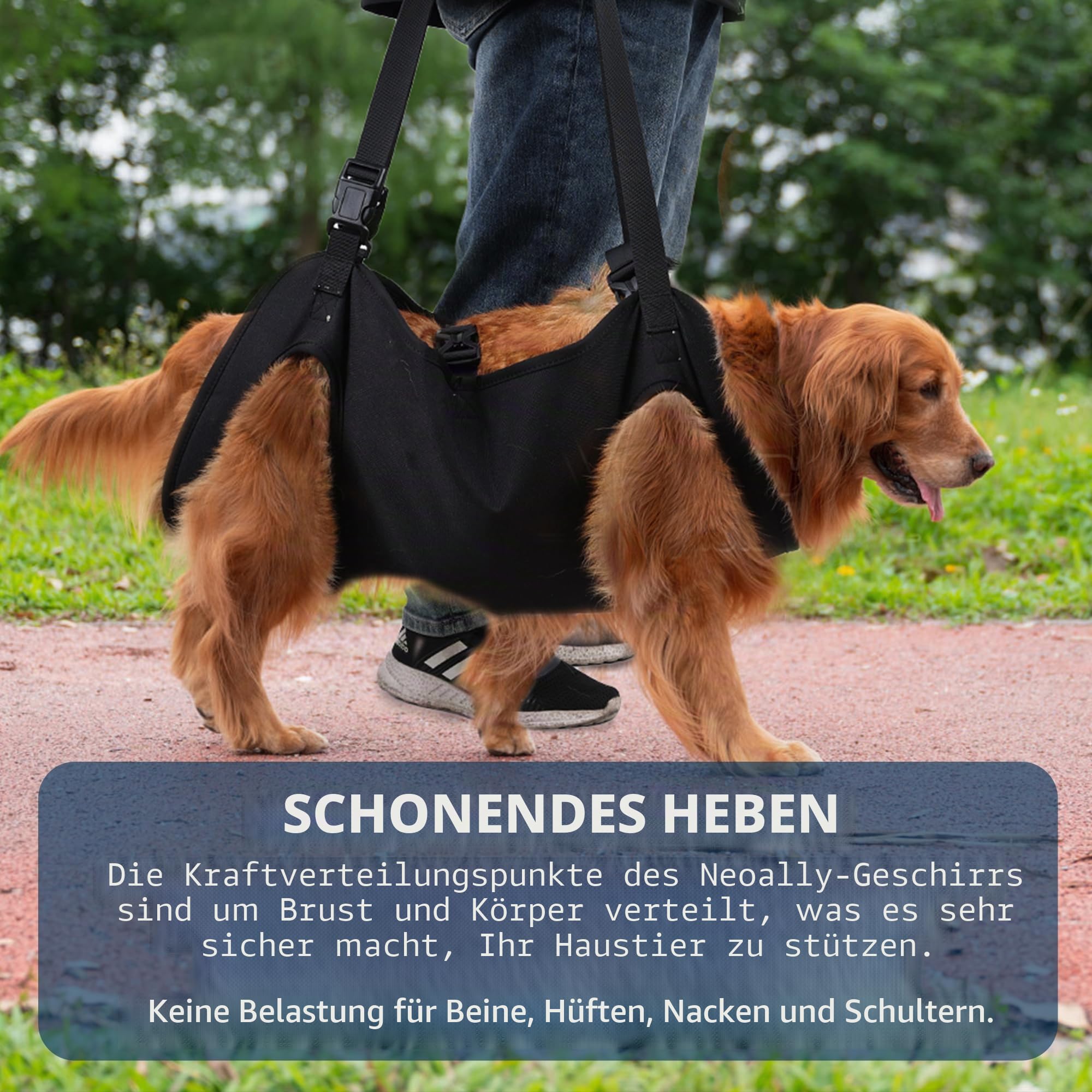 Hunde-Hebegeschirr, Notfall-Rucksack-Haustier-Bein-Unterstützung & Rehabilitation Hundeträger, Verstellbare Hebegurte für Senioren, Alte Hunde, Gelenkverletzungen, Größe XL, Schwarz