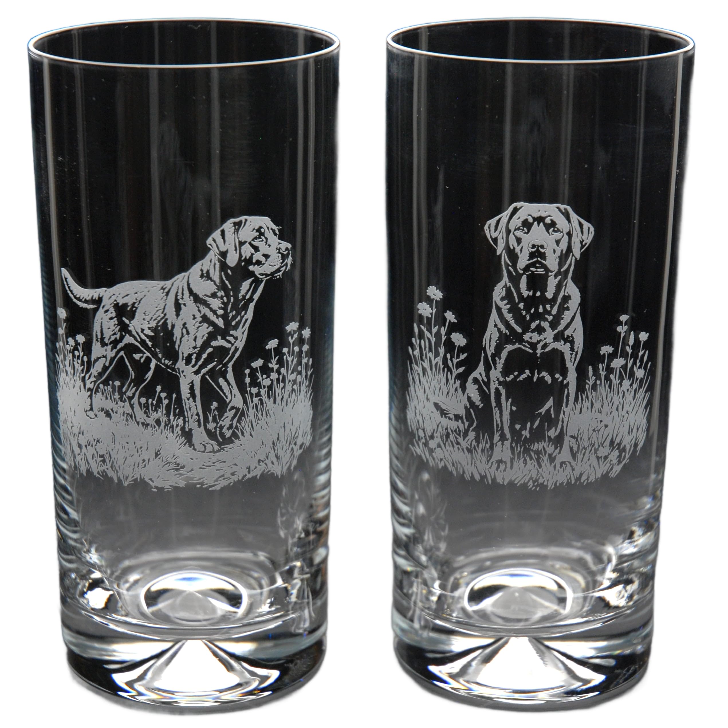 GLYPTIC Glass Art Labrador Dog Placement Hand Etched/Engraved Highball Glass