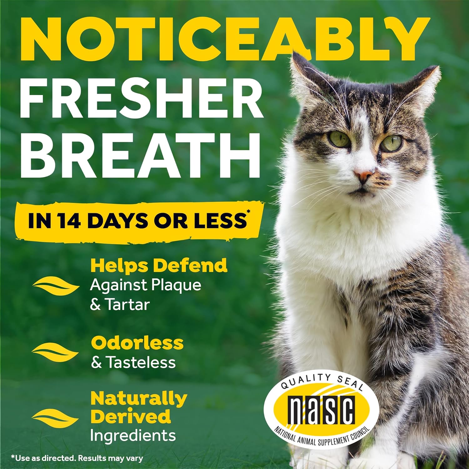 Fresh Breath by TropiClean Oral Care Water Additive for Cats, 16oz - Made in USA : Pet Dental Care Supplies : Pet Supplies
