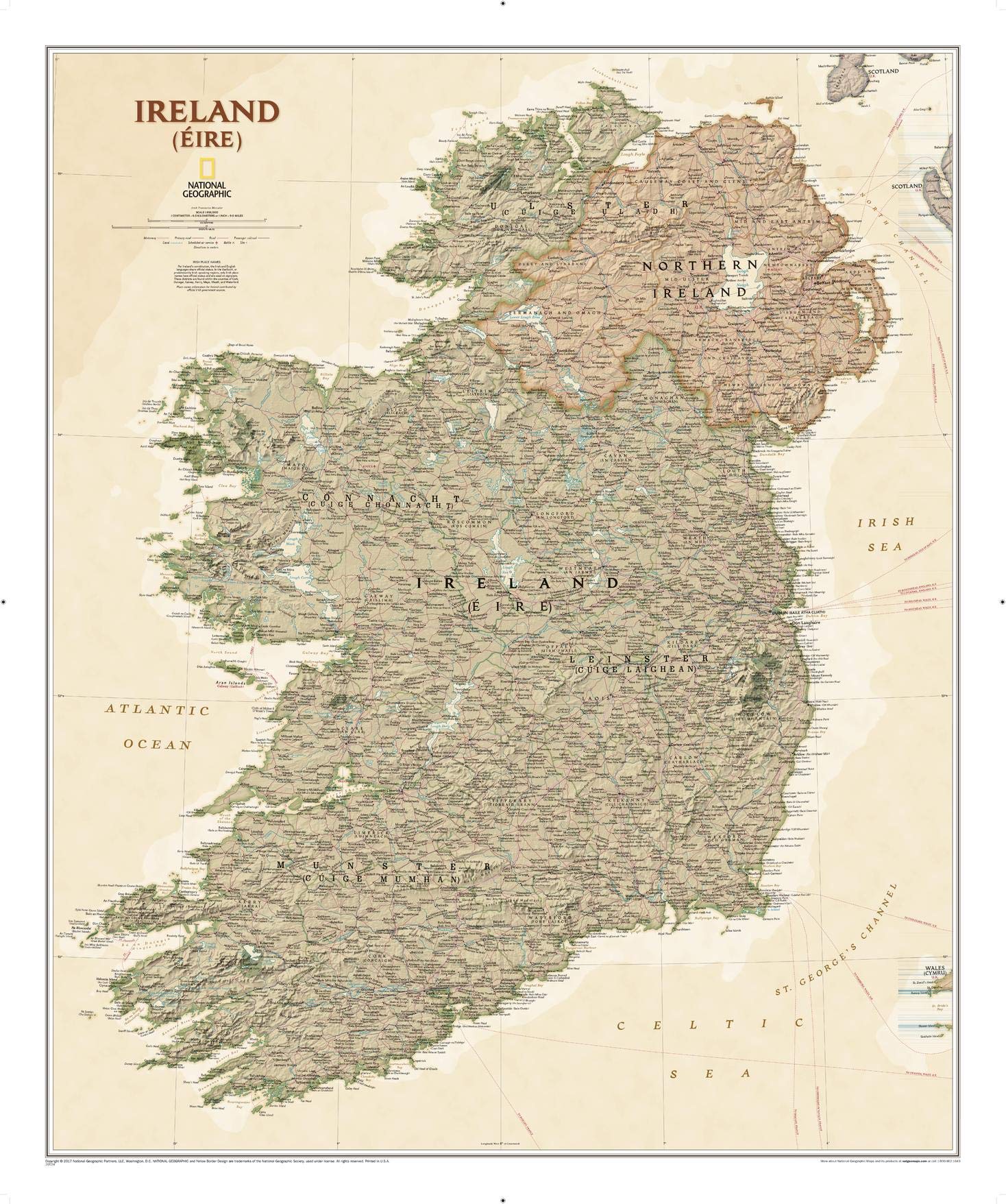 Auction Detail 81GDFIg42fL 