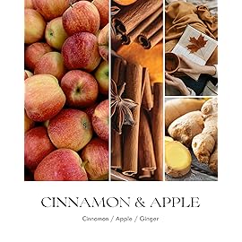 AOOVOO Apple Cinnamon Candles - 9 oz Scented Candles, Aromatherapy Candle, Soy Candle for Home Scented