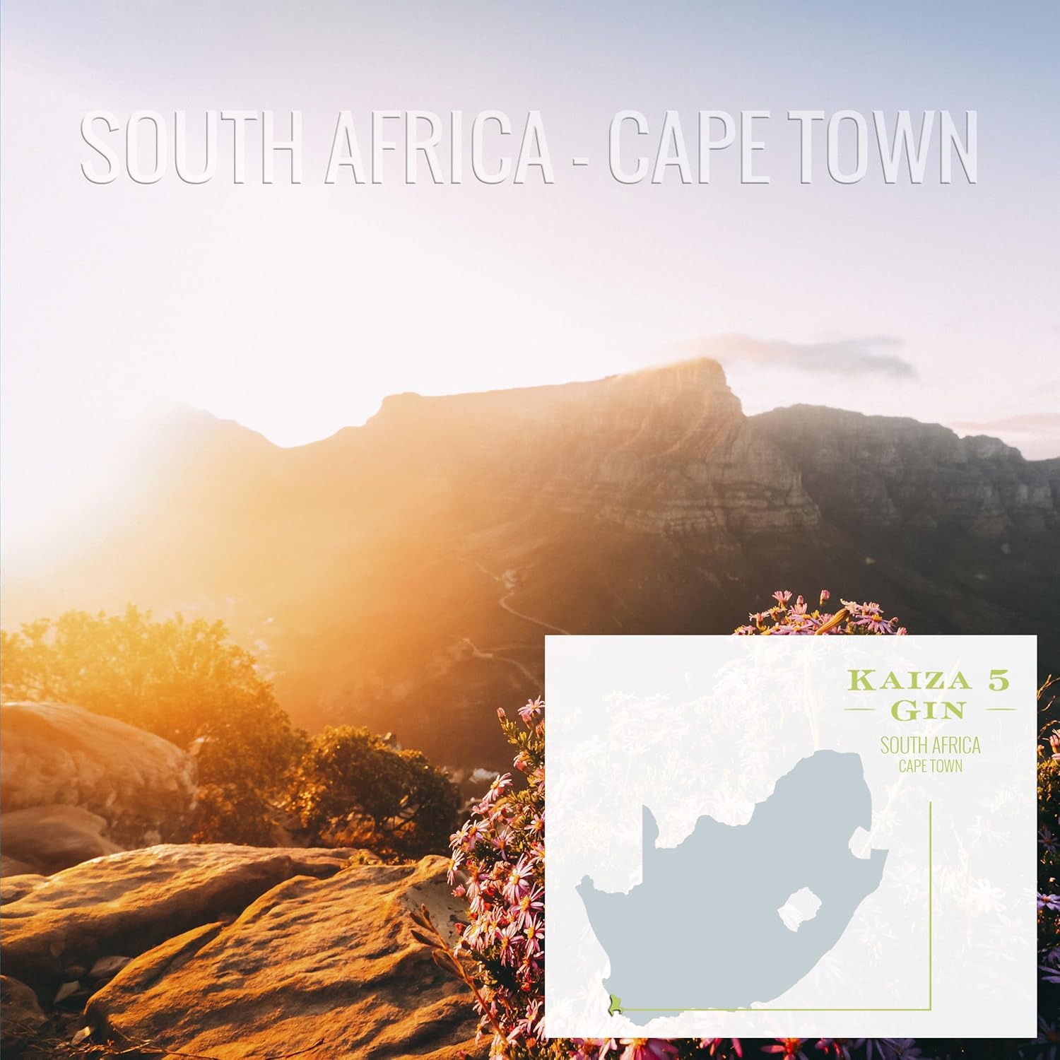 KAIZA 5 GIN - 0,05 l - 43% | Il pluripremiato gin premium del Sudafrica/Città del Capo | Occhi di tigre brillanti | Fresco, morbido ed esotico con ribes nero e pompelmo | Perfetto per un gin tonic 50 ml - Immagine 4