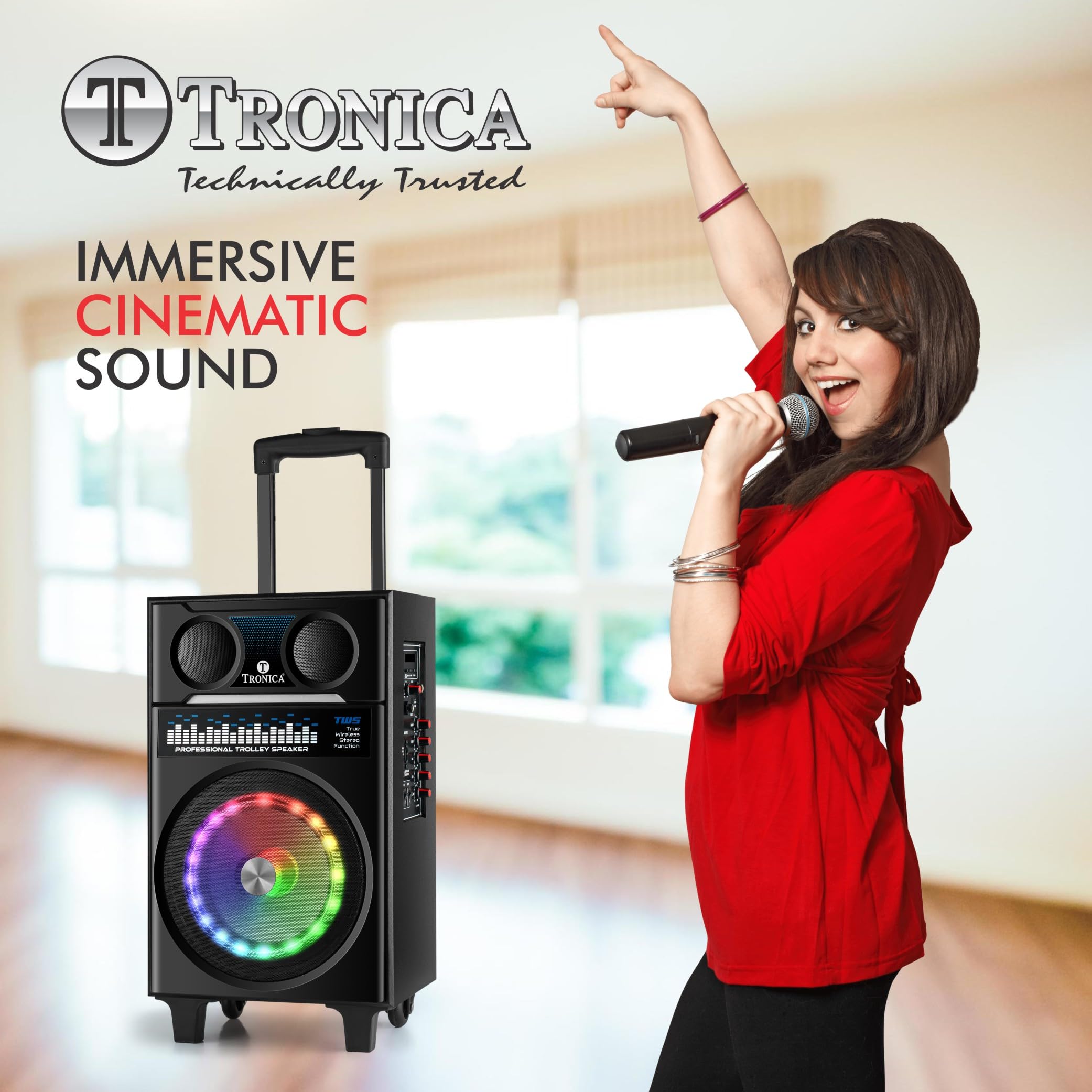 Tronica Karaoke Floor Speakers TRONICA TR-8888 Karaoke Speaker