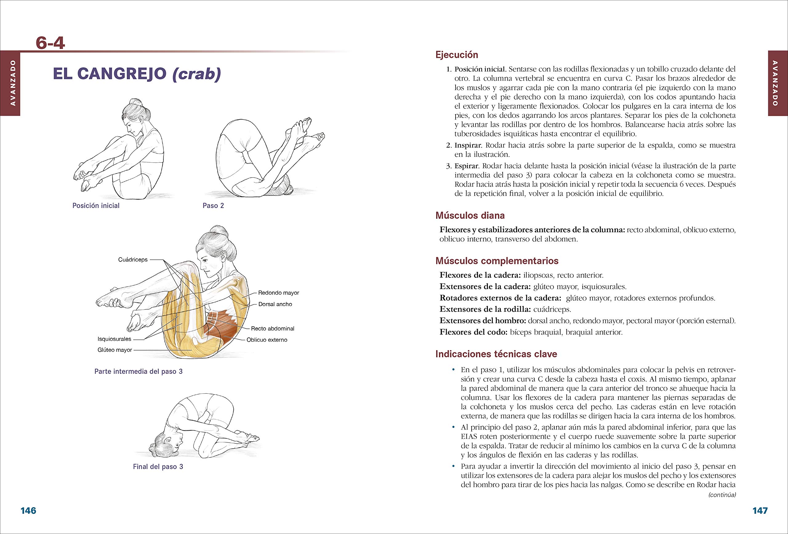 Anatomía del Pilates - Nueva edición ampliada y actualizada: Guía ilustrada para mejorar la estabilidad de core y mejorar el equilibrio (SIN COLECCION)