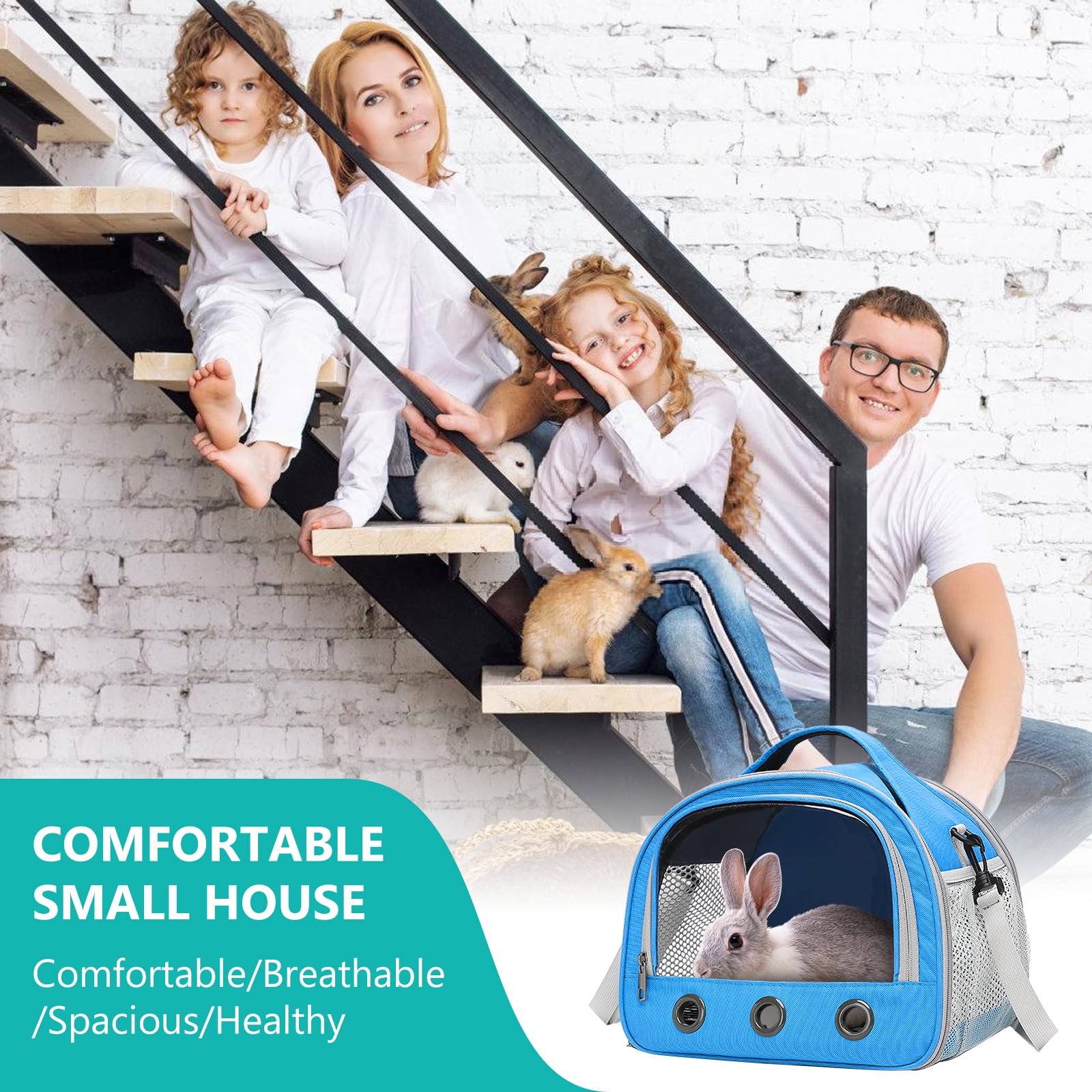 Sac De Transport pour Petits Animaux, 30 * 27 * 21 Cm Sac De Voyage pour Animal Domestique, Cage De Transport Portable pour Petit Oiseau, Sac De Transport pour Oiseaux pour Oiseaux, Rats Bleu