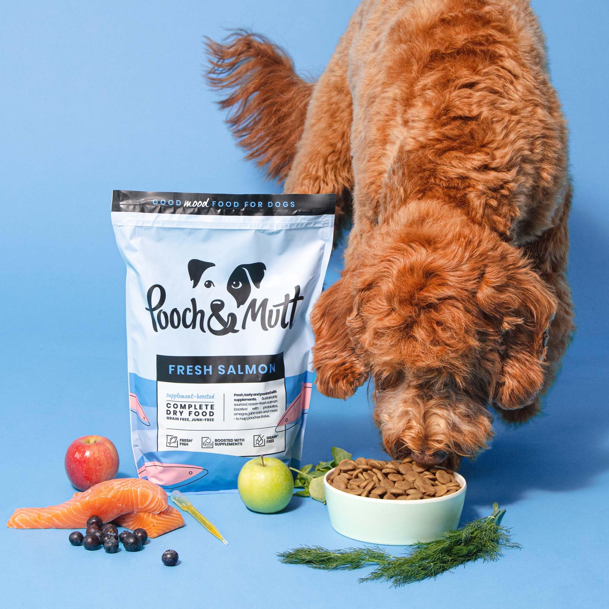 Pooch & Mutt - Frischer Lachs, Alleintrockenfutter für Hunde (Getreidefrei), 1,5 kg