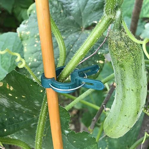 Miniatura 7 de Sago Brothers 40 clips de jardín para jaulas de tomate, clips de soporte de plantas para estacas de bambú, plantas trepadoras, enredaderas, clips