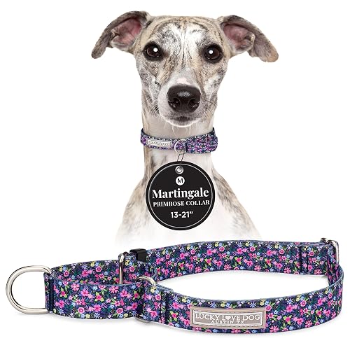 Lucky Love Dog Martingale - Collar para perro, ajustable, antideslizante, duradero y suave, para perros…
