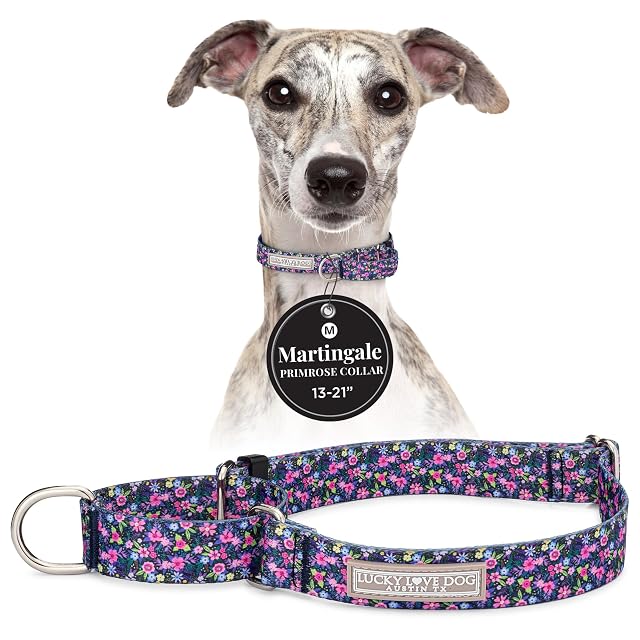 Lucky Love Dog Martingale - Collar para perro, ajustable, antideslizante, duradero y suave, para perros…
