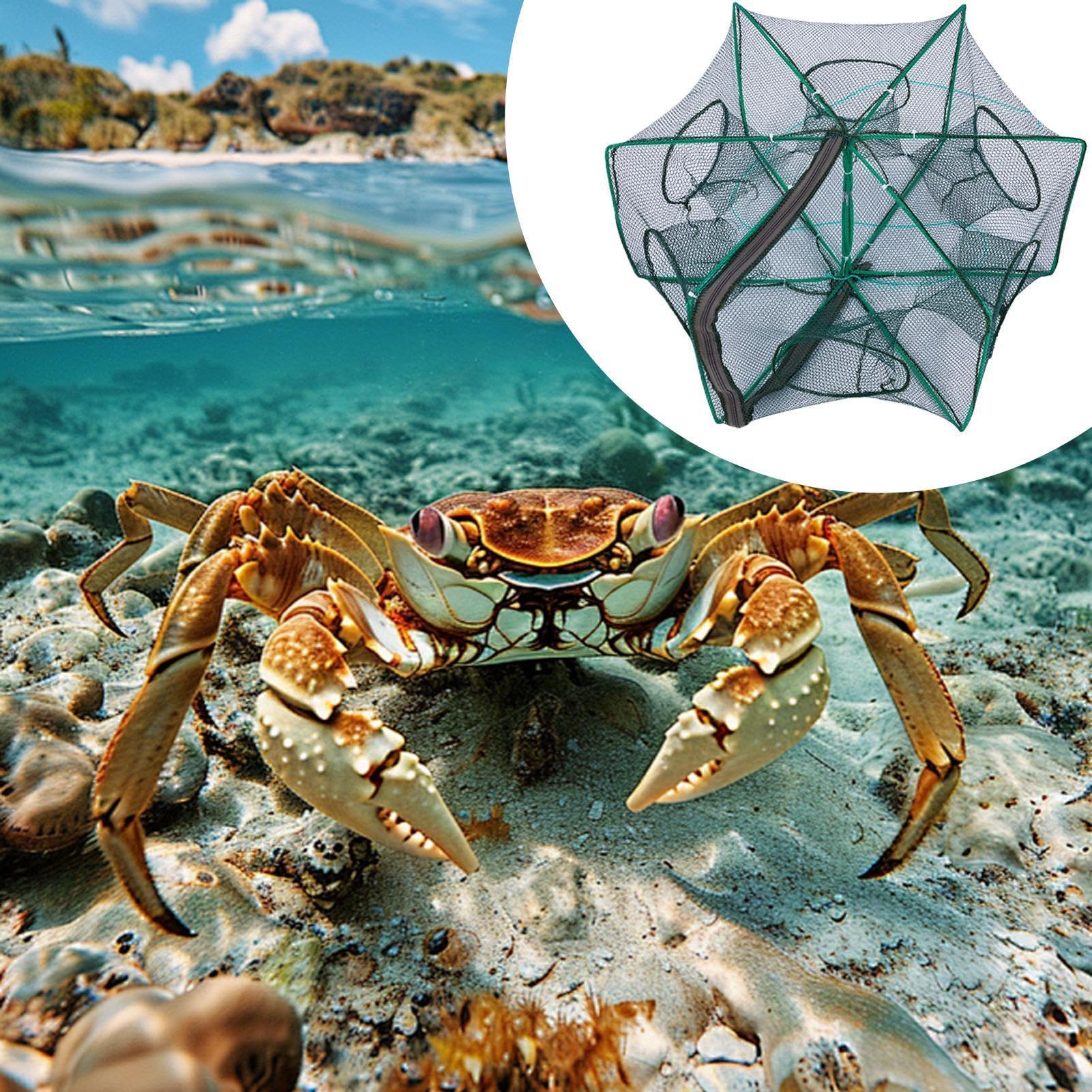 Trappola per pesci, gabbia pieghevole in nylon, resistente, a prova di fuga, trappola da pesca portatile, per lago, gamberetti, kayak, spiaggia, stagni