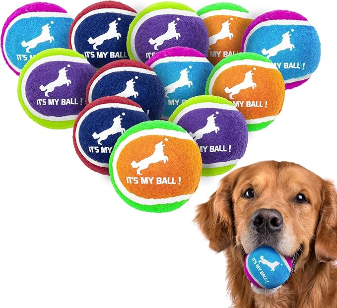 EXPAWLORER Squeaky Tennis Balls for Dogs12 Pack High