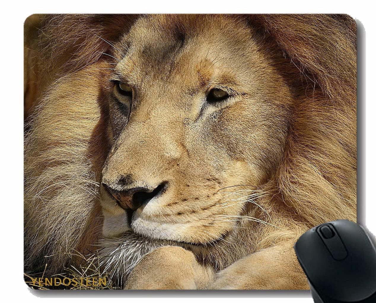 マウスパッド ad Amazon.co.jp: マウスパッド、ライオンフェイスビッグキャットアイズ