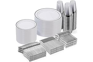 Goodluck 600 Piece Disposable Silver Plates for Party
