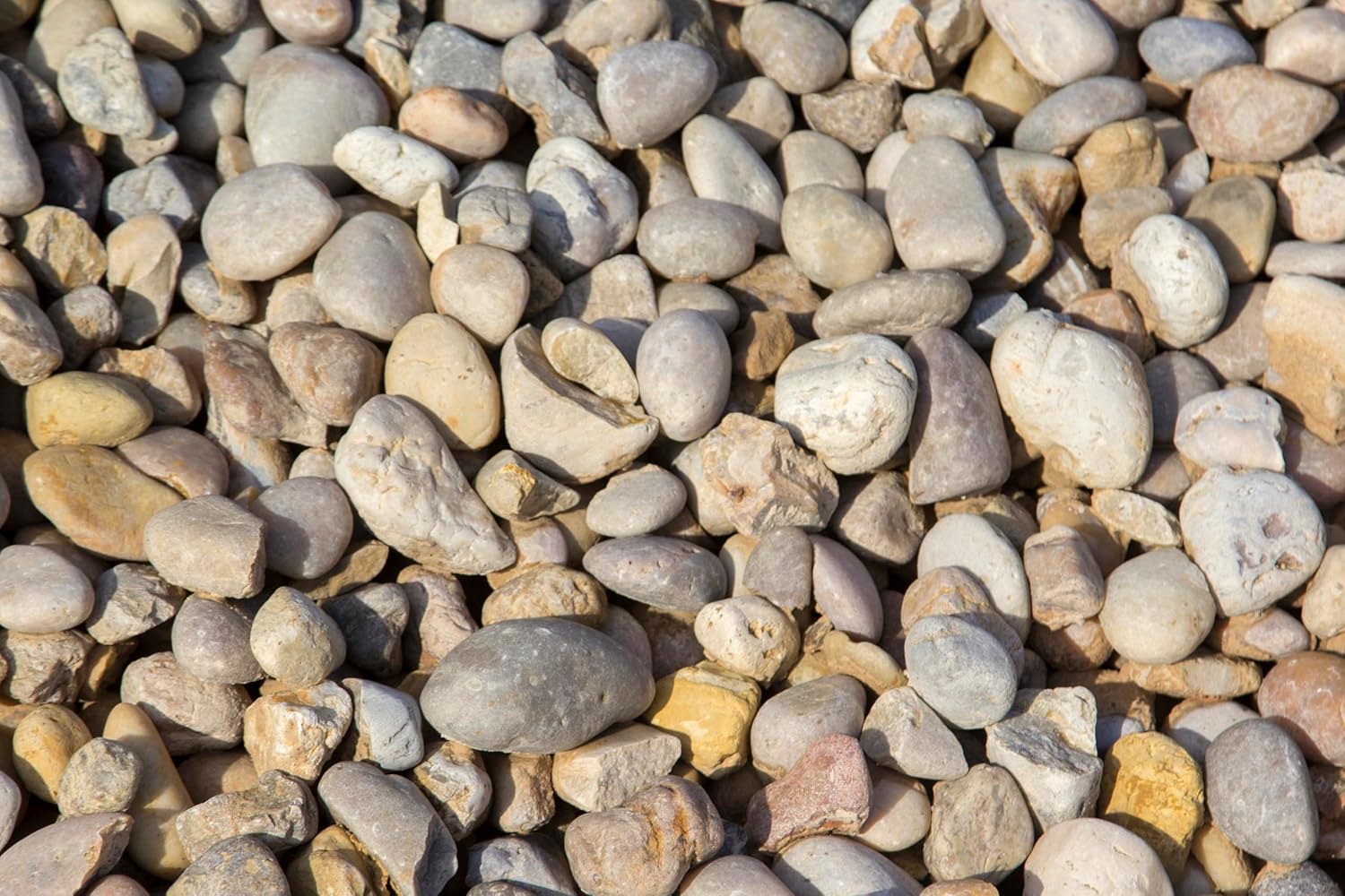 Large River Rock – Gravel Company Alabama Sunset 2-3" for Drainage, Erosion Control, Creek Beds & Landscape Accents – Natural Rounded Stone (40 lbs)