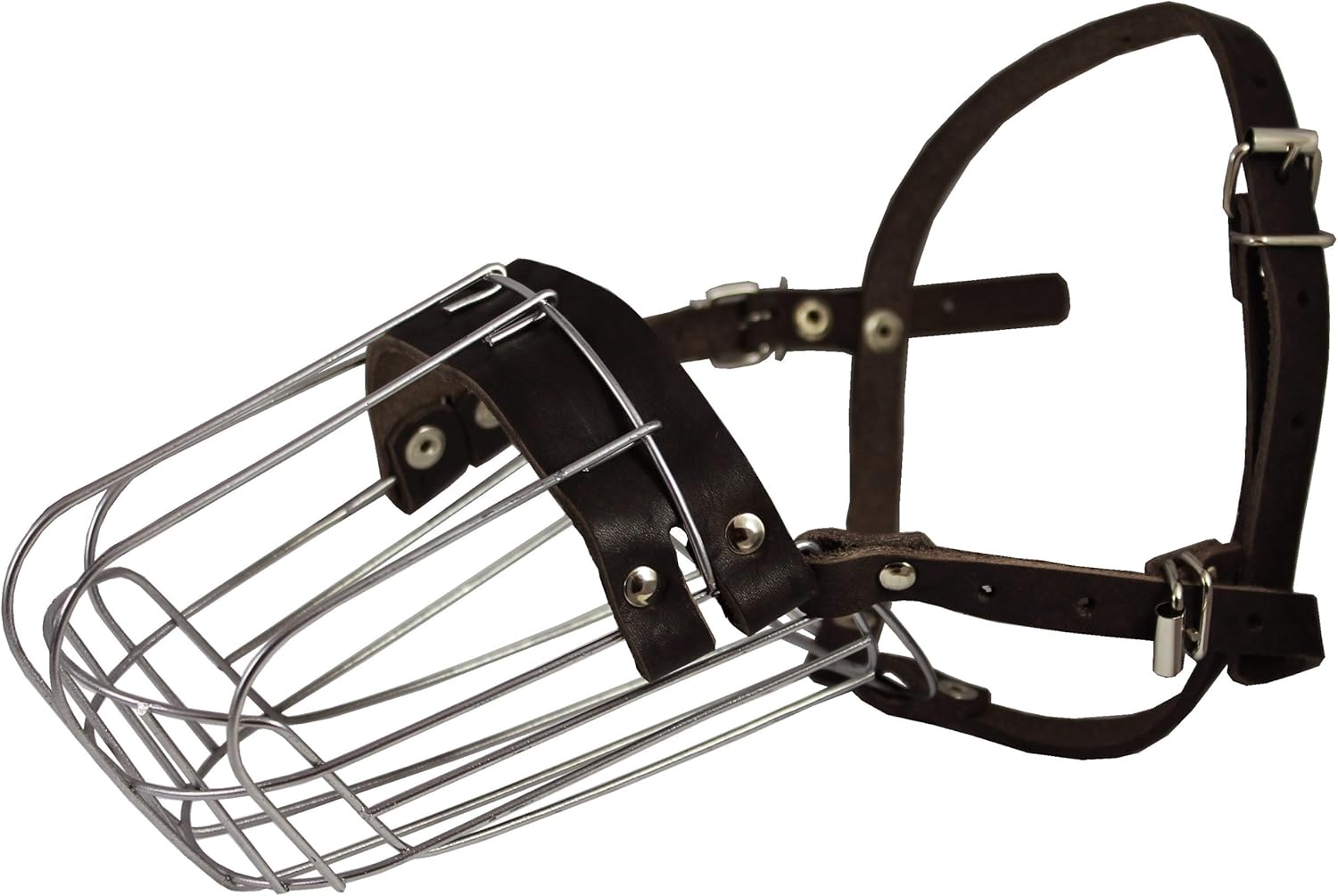 doberman pinscher muzzle