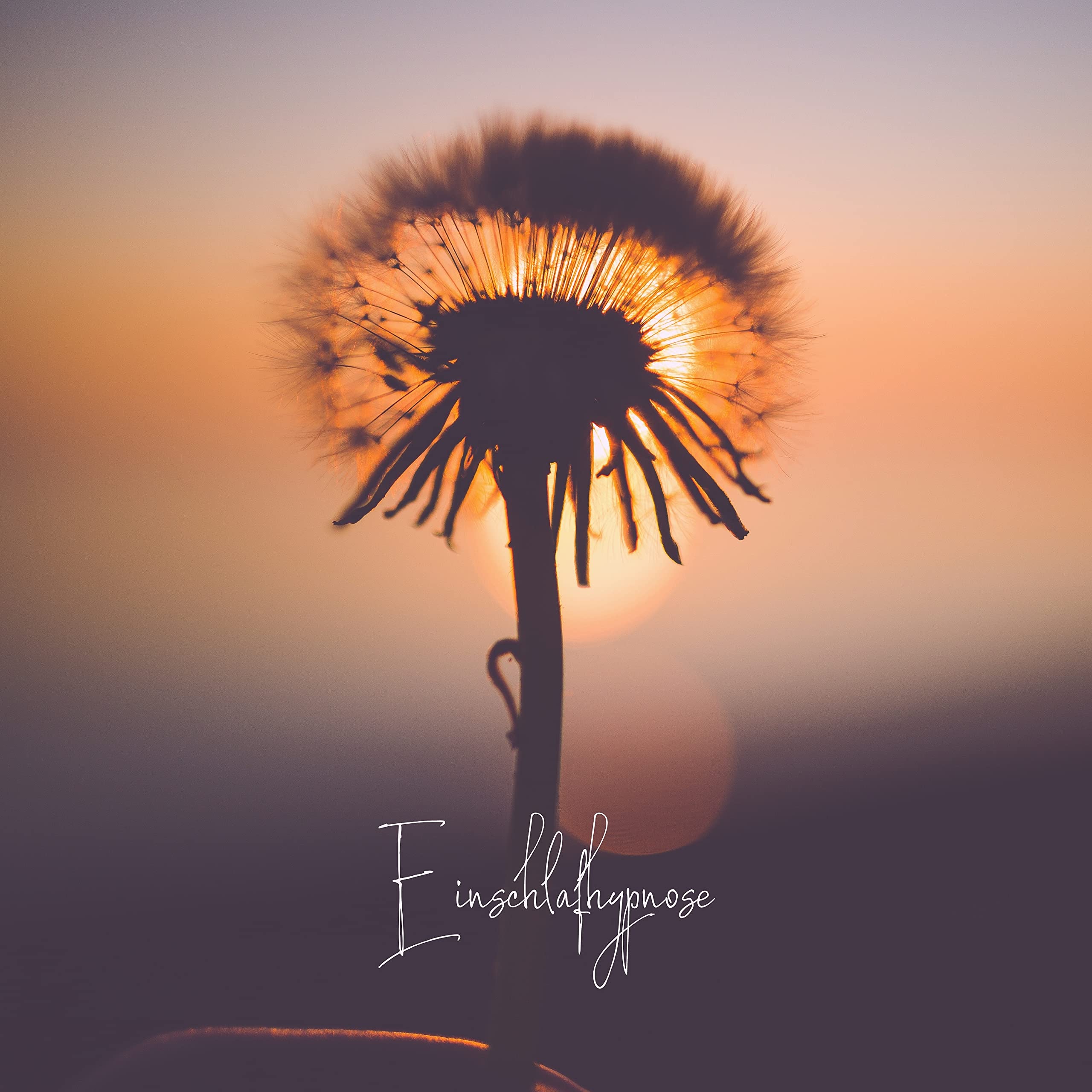 Institut für Hypnoseanwendung