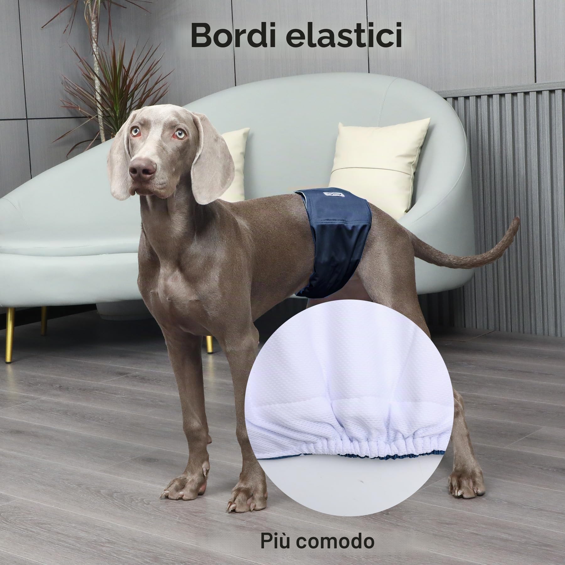 JoyDaog Fasce per Pancia Riutilizzabili per Cani Maschi Pannolini, Confezione da 5 Pannolini Lavabili Premium per Cani Maschi Fasce Pannolino per Cuccioli, S