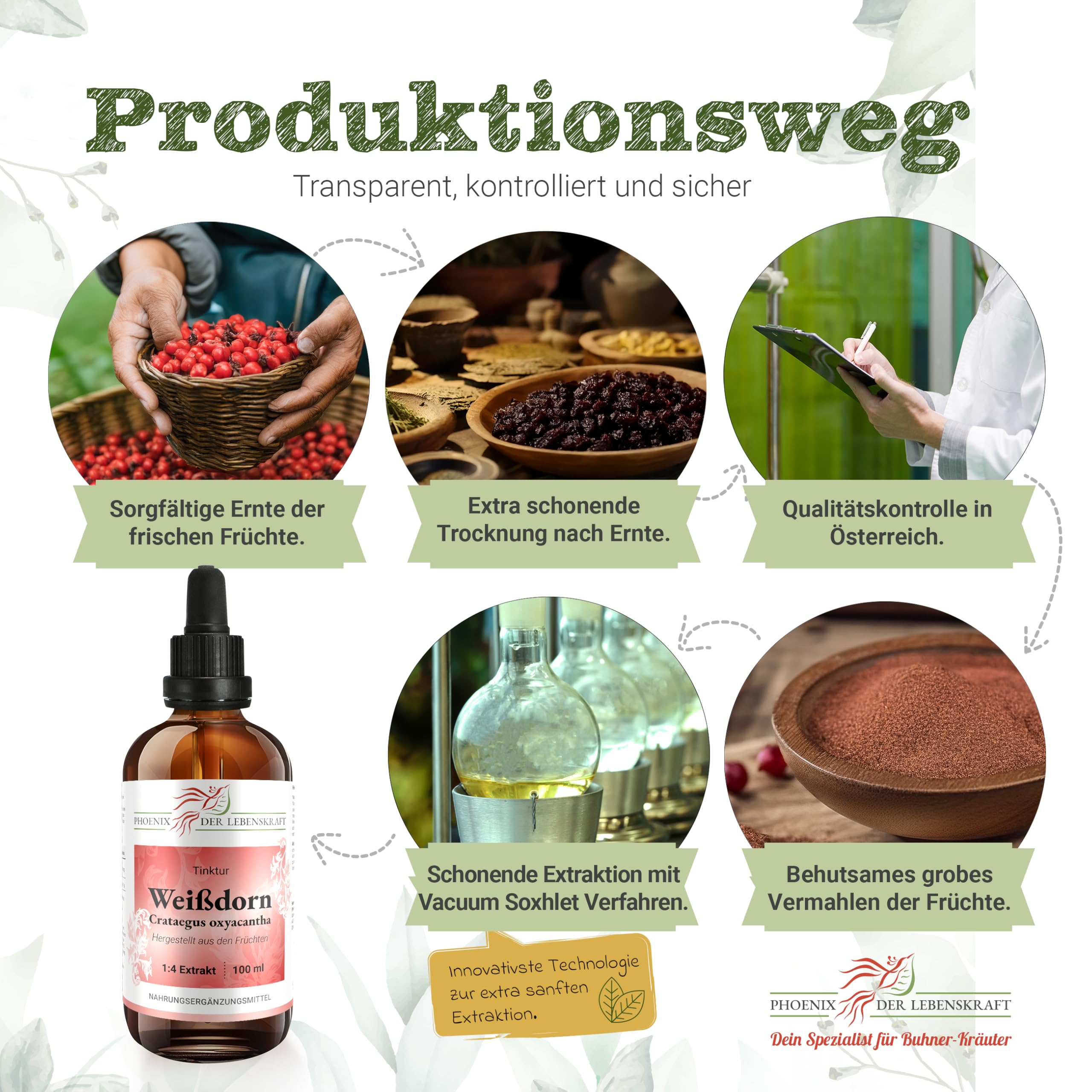 Weißdorn Tinktur - 100 ml, Crataegus oxyacantha Tropfen, 1:4 Extrakt, Top Premium Qualität, Hergestellt in Österreich, Vegan