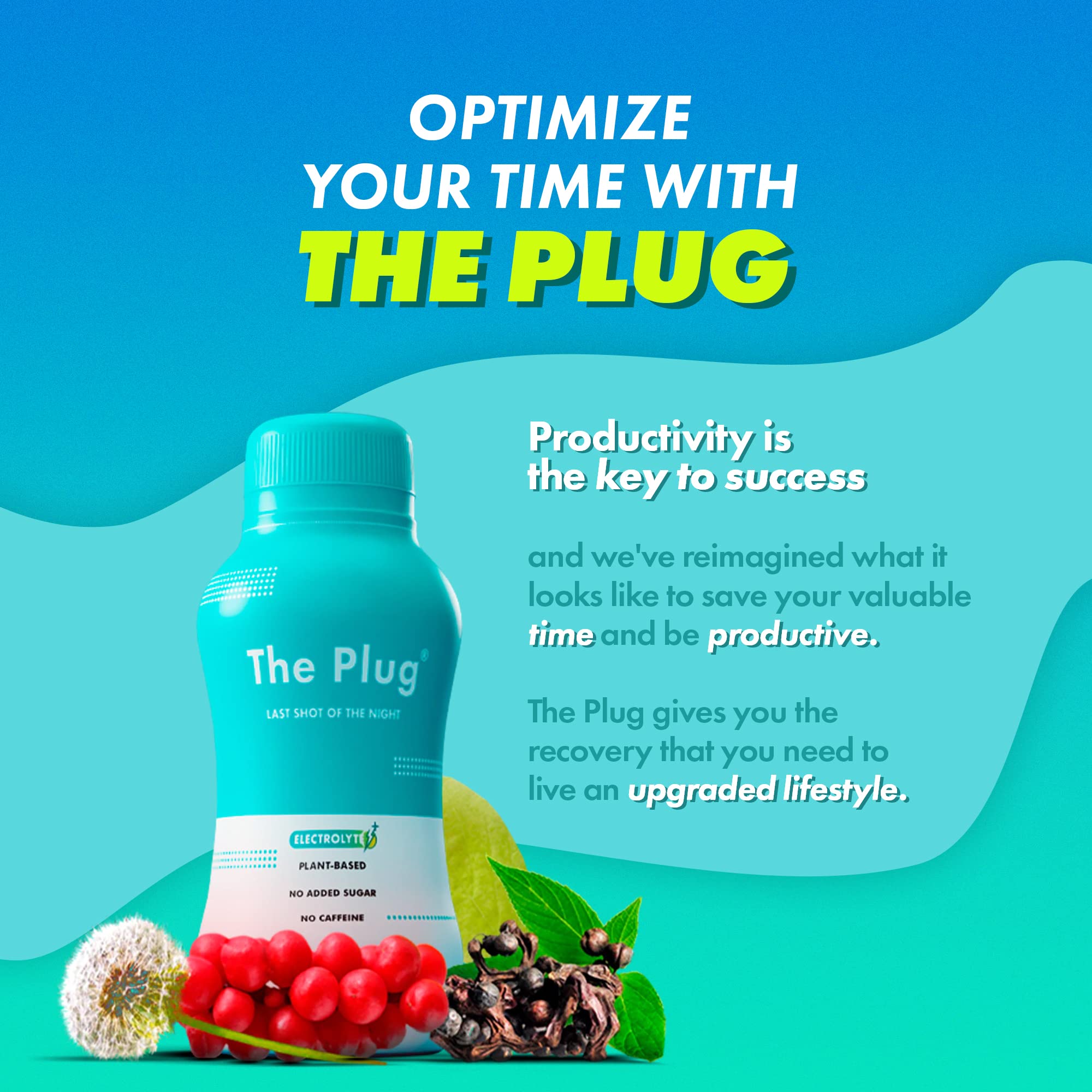 Buy The Plug PlantBased Liquid Hydration Pack After Drink Hydration