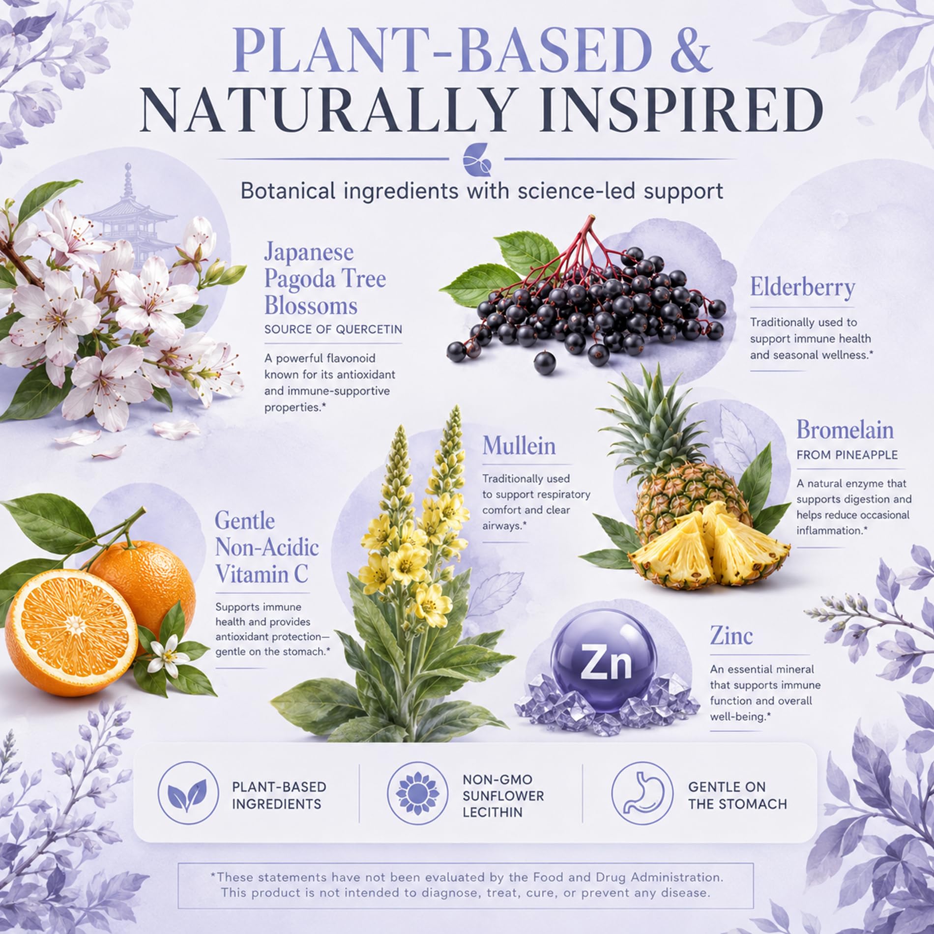 Quercetin with Bromelain, Liposomal Quercetin Complex with Vitamin C & Zinc, Elderberry, Berberine & Mullein for Immune Wellness & Respiratory Comfort, Higher Absorption - 60 Softgels — Amazon image 5