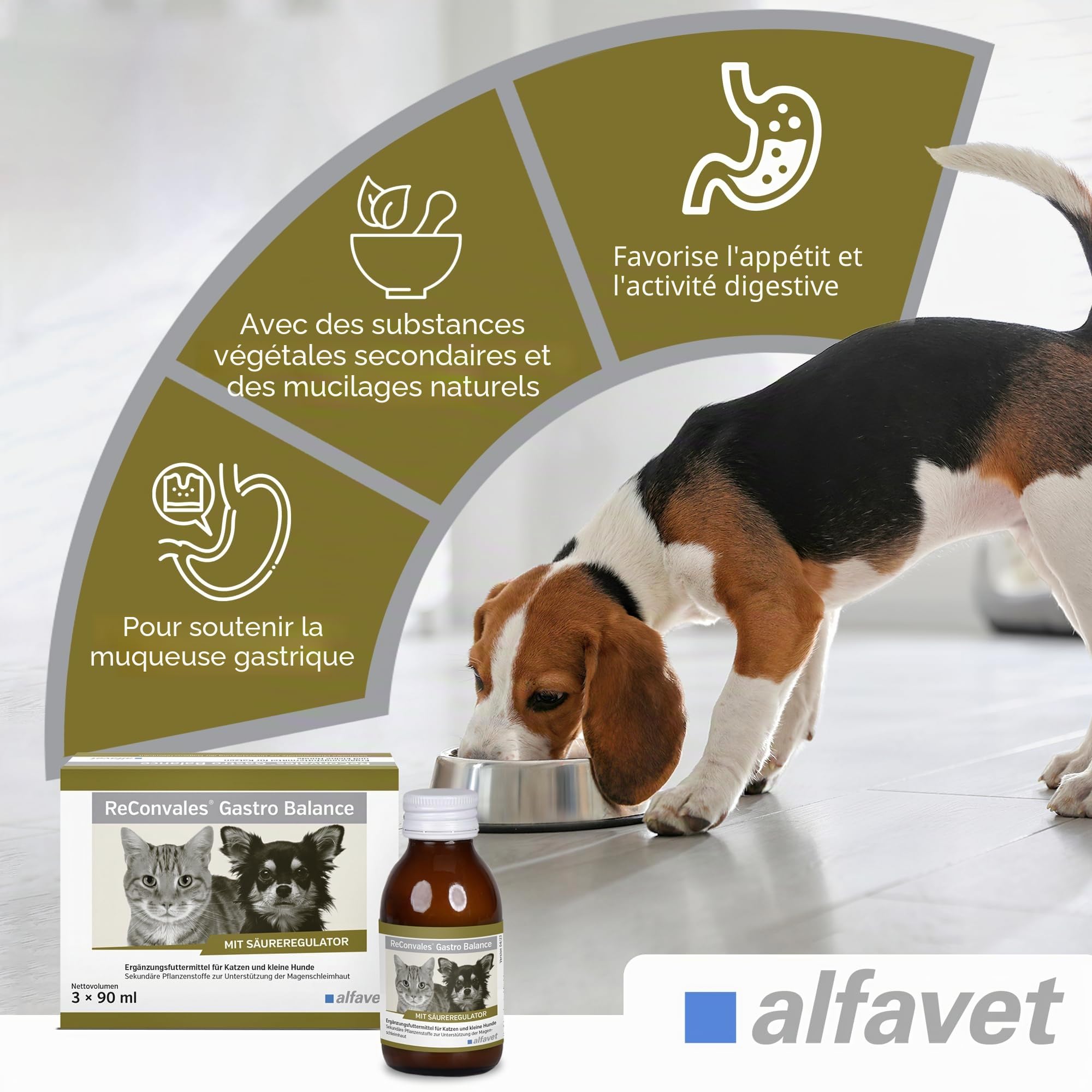 alfavet, ReConvales Gastro Balance pour chat et chien - Soin de la muqueuse gastrique avec régulateur d'acidité - Complément alimentaire - 3 x 90 ml