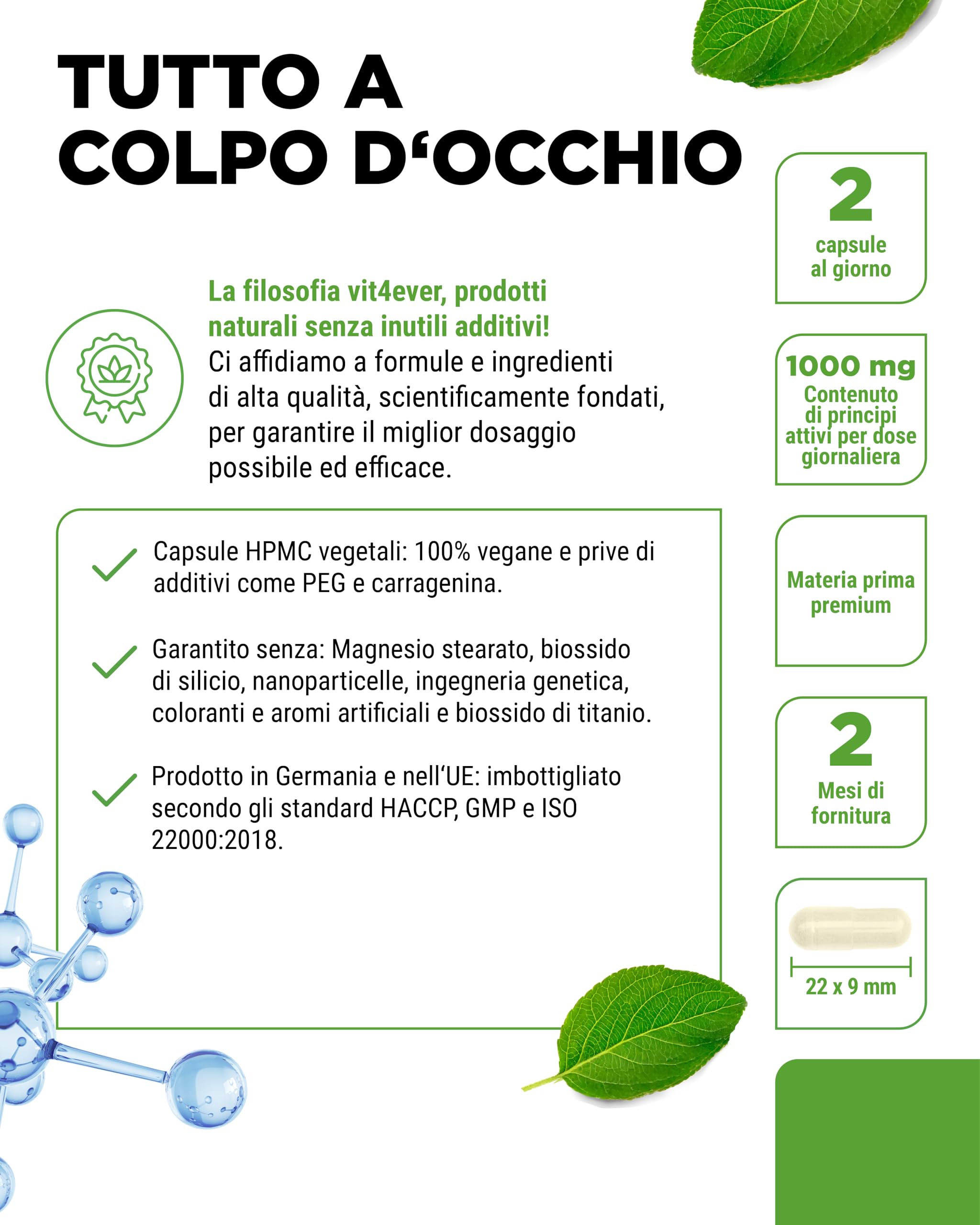 L-Carnosina - 120 capsule - Dosaggio elevato con 1000 mg per dose giornaliera - Amminoacido puro ottenuto tramite fermentazione vegetale - Senza additivi, vegano