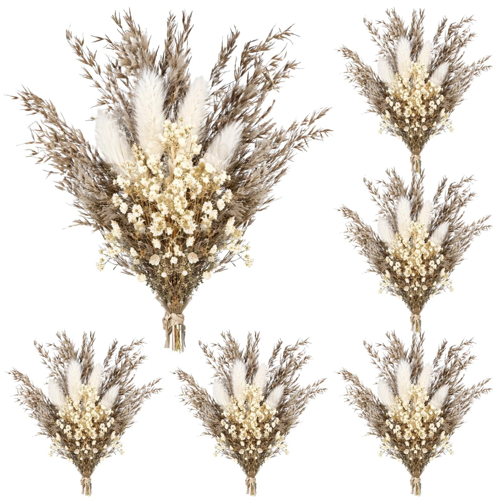 6 STK. Mini Trockenblumensträuße, natürliche Pampasgras-Boutonnieres, 10 cm Boho Anstecker für Hochzeit, rustikale Trockenblumen Deko für Feier, Zuhause und DIY Projekte