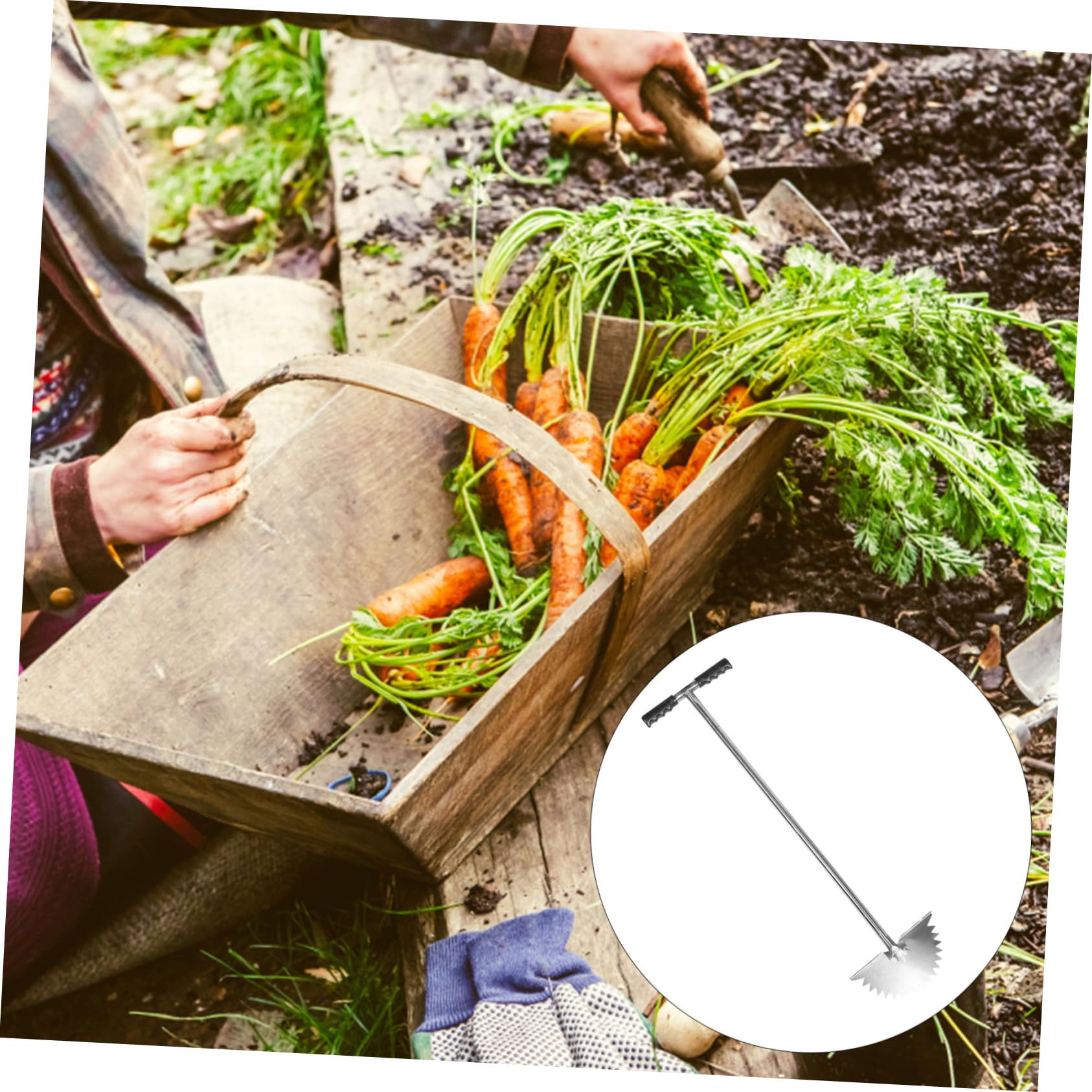 Toyvian Bordatore Manuale per Prato Denti Seghettati Attrezzo da Giardinaggio Manico per Bordi Giardino Bordatore per Resistente in Acciaio Inox