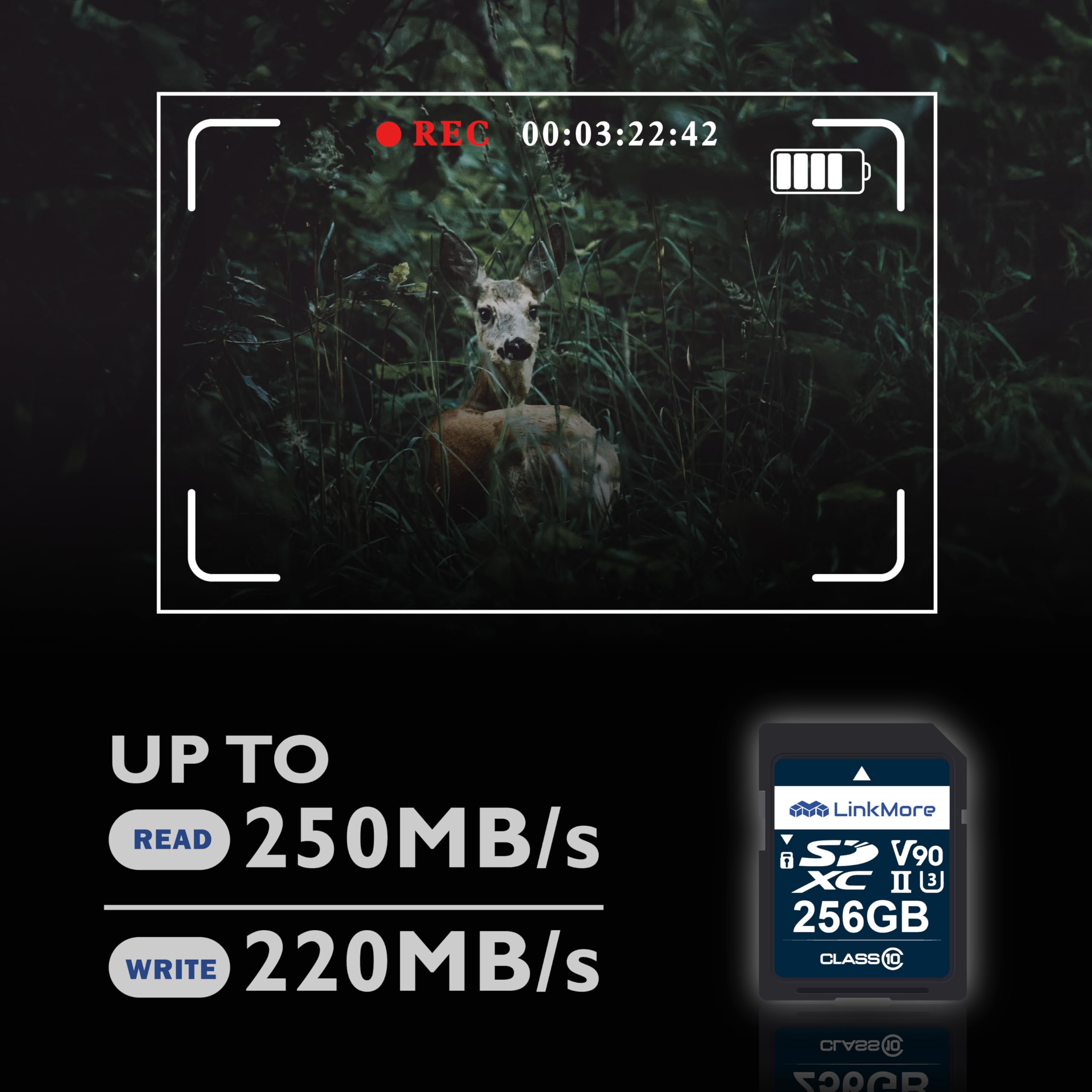 Amazon | LinkMore SDカード 256GB / UHS-II / V90 / Class10 / SDXC 