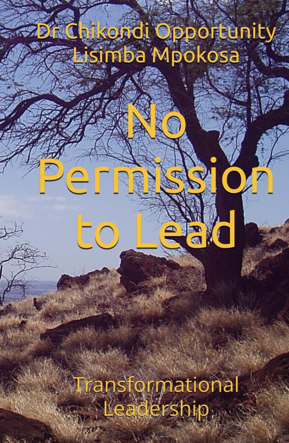 No Permission to Lead: Transformational Leadership
