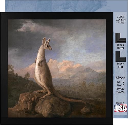 Kangaroo by George Stubbs - Póster enmarcado para decoración de pared, pintura de obras de arte finas, pósteres e imágenes, impresiones de galería disponible en Yaxa Colombia