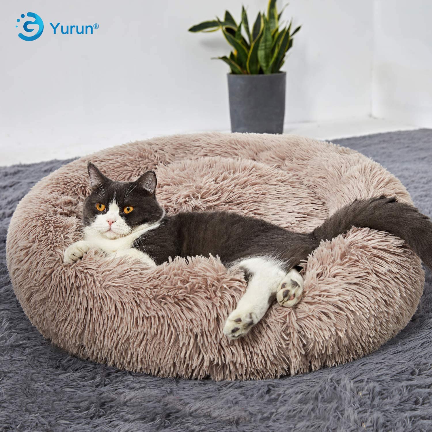 Haustierbett, Hundebett Weich waschbar Donut Kissen Hund Hundebett Donut Premium Katzenbett in Doughnut-Form für Katzen und kleine bis mittelgroße Hunde - Hellbraun 70x70x20cm