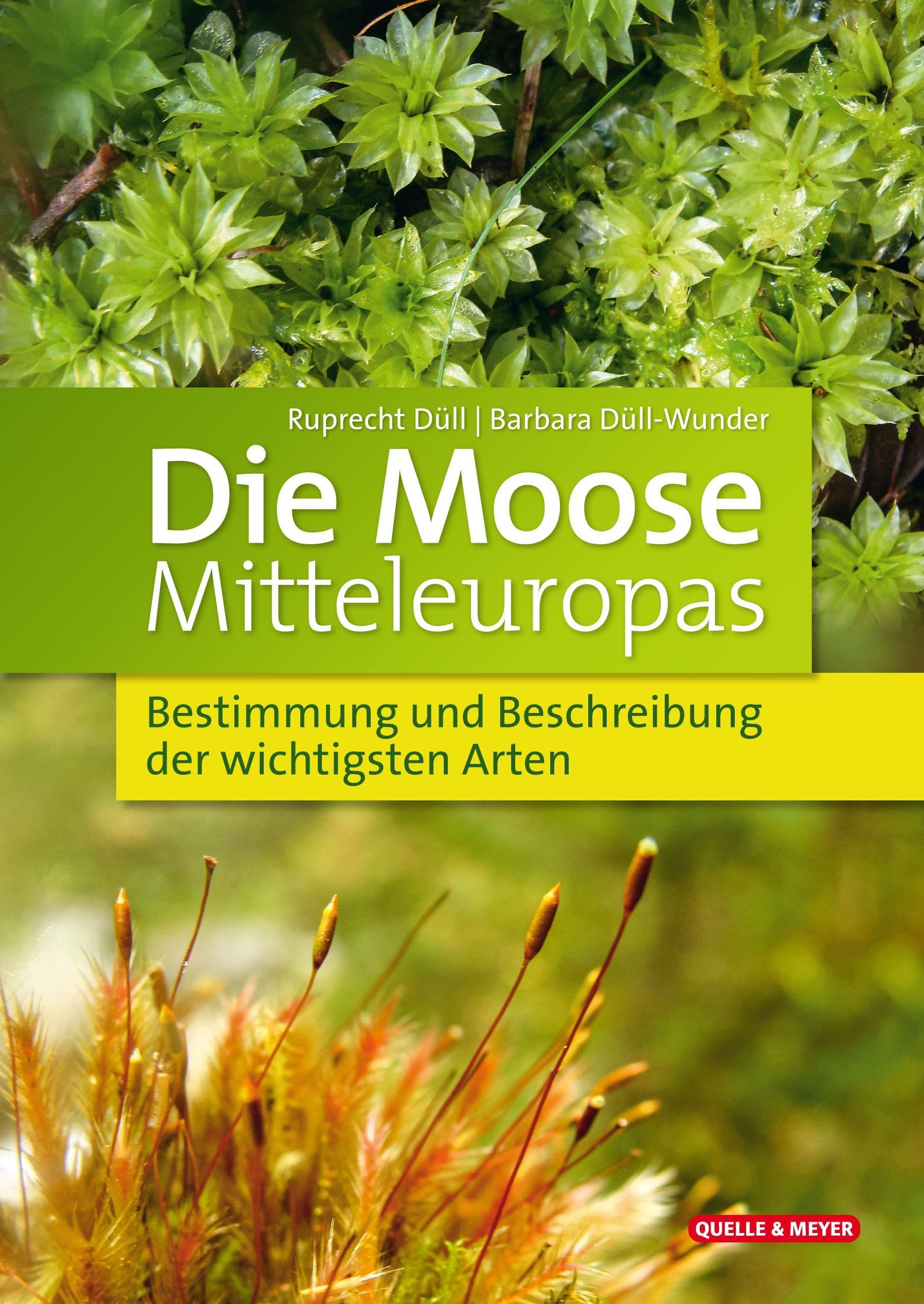 Die Moose Mitteleuropas: Bestimmung und Beschreibung der wichtigsten Arten. Mit Bestimmungsschlüssel