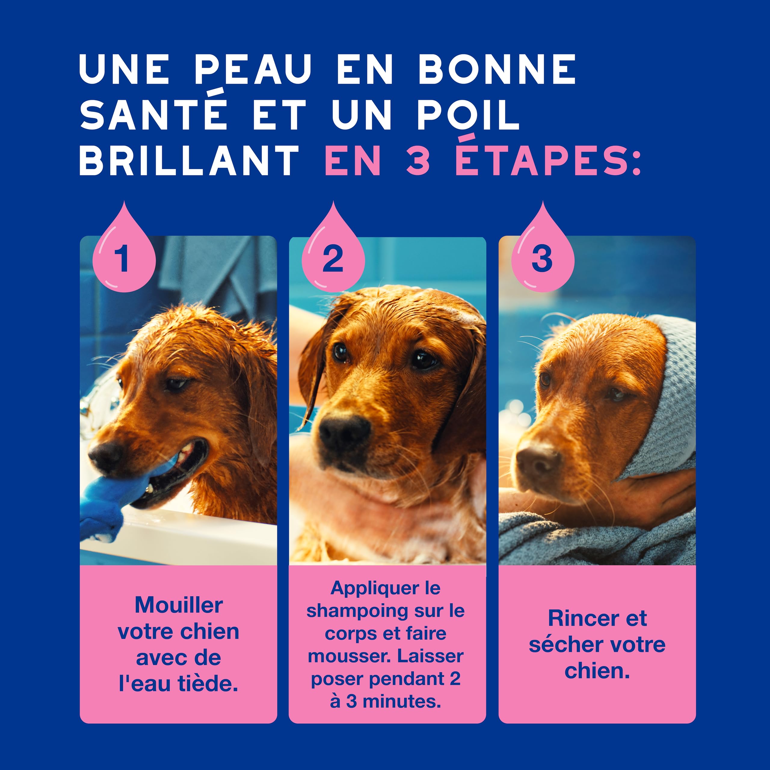 DOUXO Skin & Coat Spa - Ultra-Safe Shampoing Anti-démangeaisons pour Chien, 250mL, Nettoie et apaise la Peau, Laisse Le Pelage Doux et éclatant, Formule respectueuse de la Peau.