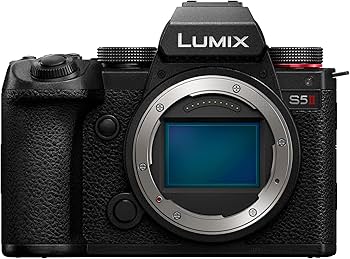 Panasonic LUMIX S5ii DC-S5M2 ☆付属品有 Panasonic LUMIX S5ii DC-S5M2 ☆付属品有