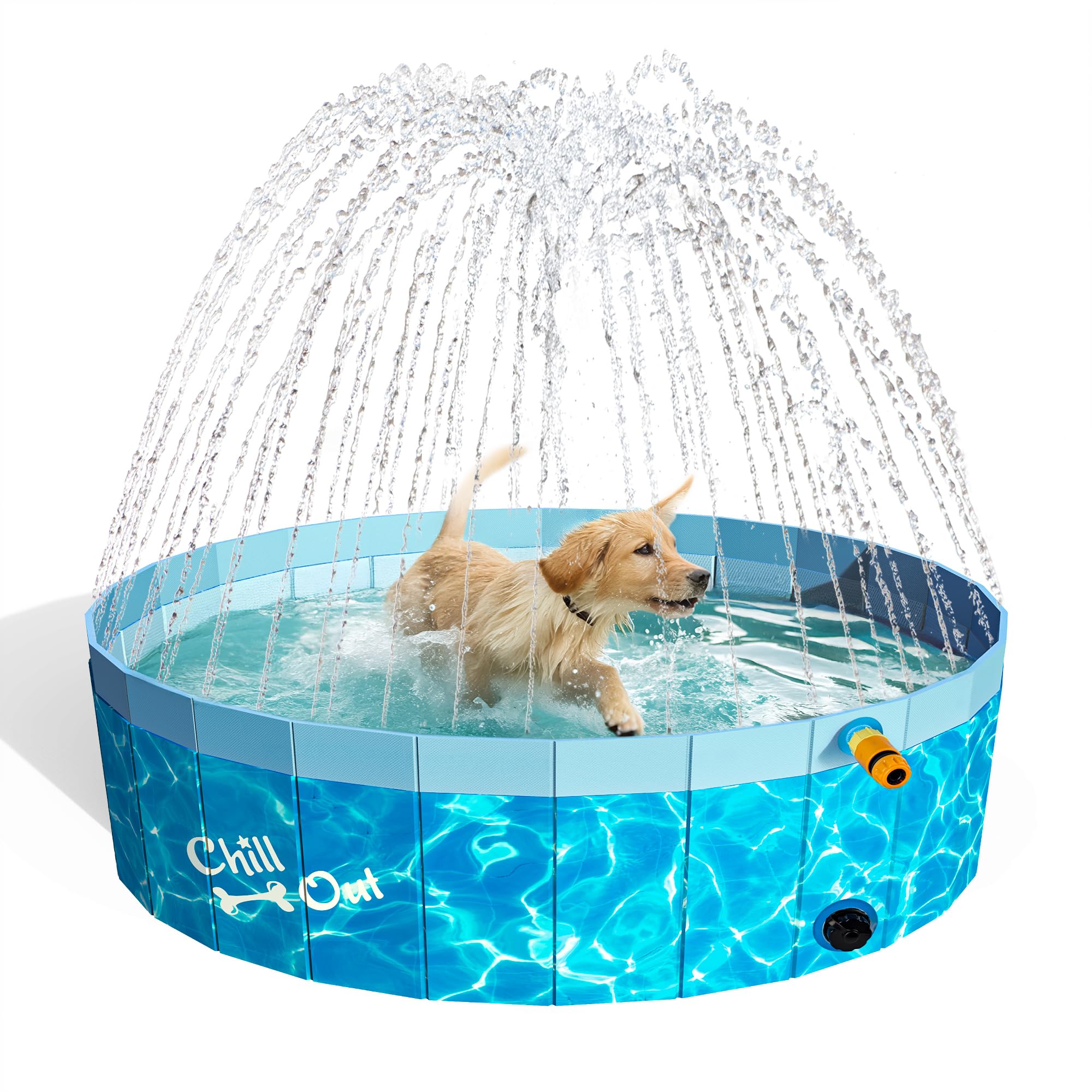 ALL FOR PAWS 2 IN 1 Dog Swimming Pool