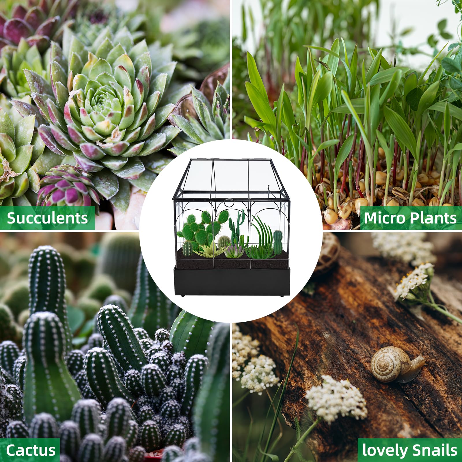 Homtone Maceta de terrario geométrica de 24 cm con bandeja, forma de casa, caja de cristal negra hecha a mano, maceta vintage en miniatura para suculentas, cactus, plantas de aire, negro