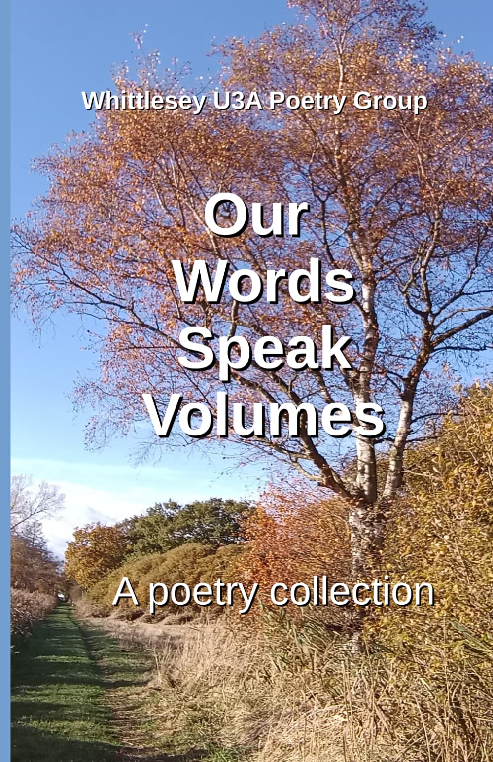 Our Words Speak Volumes