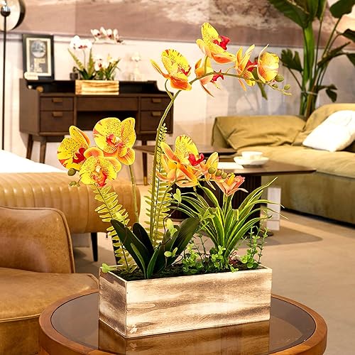 Miniatura 7 de YESDICO Arreglo de orquídeas artificiales de 20 pulgadas con maceta rústica Phalaenopsis, flores falsas que se ven reales para decoración del hogar