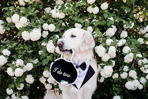 Miniatura 7 de ZippyPaws Juguetes de boda para perros, letrero con texto en inglés "I Do Too, regalos para parejas de perros, divertidos juguetes de compromiso