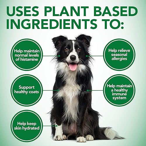 Miniatura 7 de Vets Best Healthy Coat - Suplementos para perros para aliviar la picazón y el cobertizo