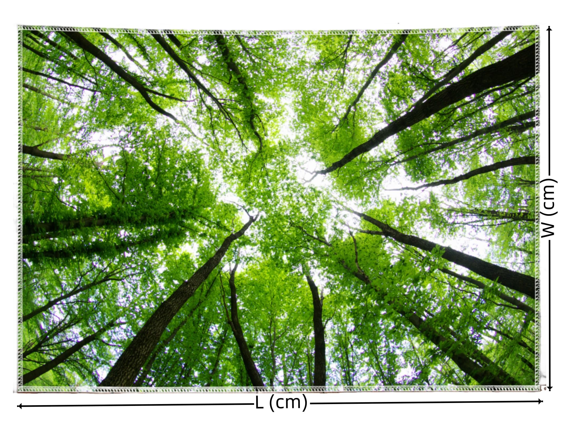 Arsey Green Tapestry Forest Sky Wall Tapestry Nature Landscape Extra Large Ceiling Tapestries Aesthetic Wall Hanging Decor Bedroom Living Room - Image 3
