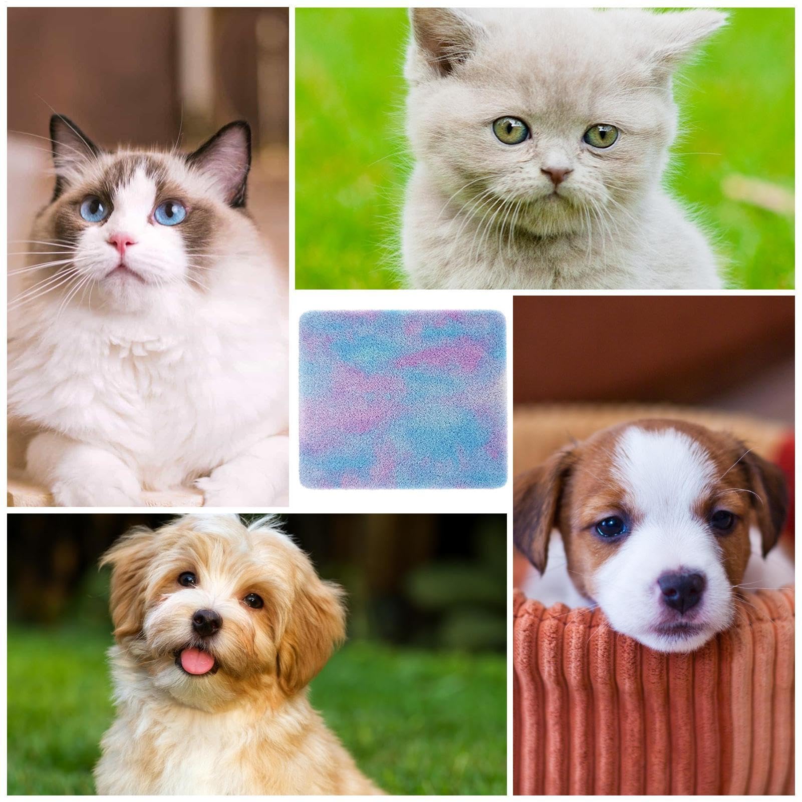 Cuscino riscaldante per animali domestici, cuscino riscaldante | impermeabile per animali domestici, comodo tappetino termico per soggiorno, camera da , case per animali domestici